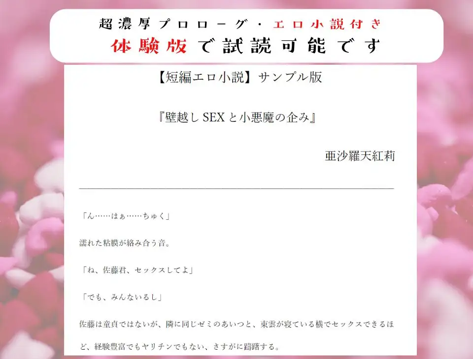 【壁越し/処女喪失/超濃厚エロ小説付き】「僕をオナホにしていいよ」 好きな子の交尾を聴きながら小悪魔僕っ娘を抱いたら、実は処女で、最後は本気なかだしセックス