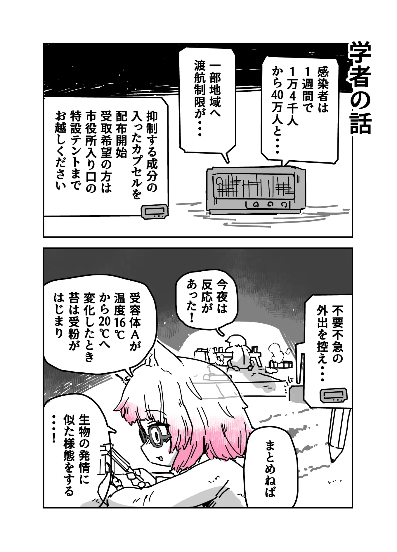 猫線地区の日常
