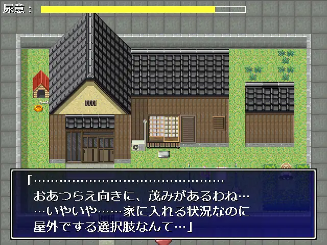 鍵がないと入れない便所