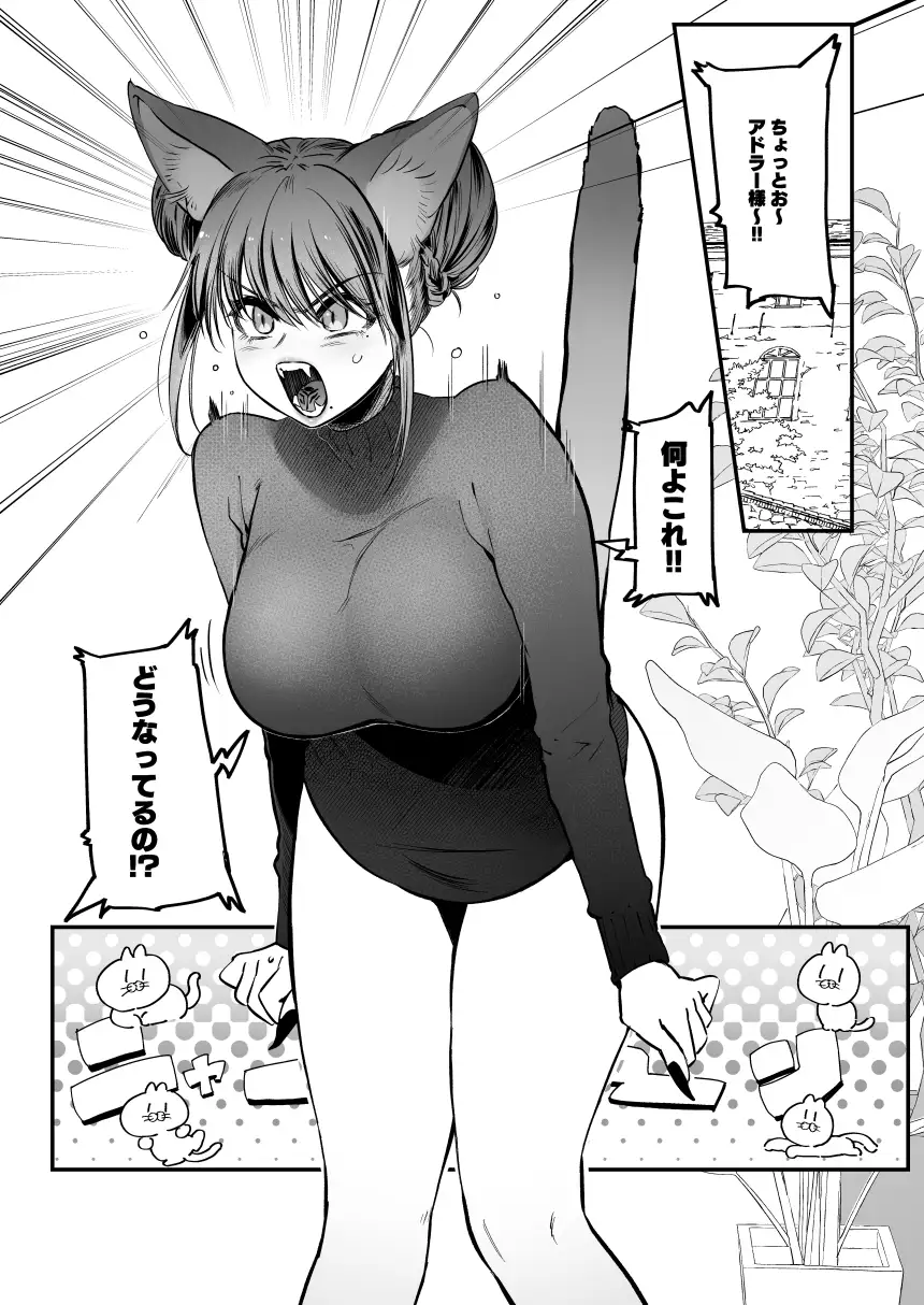 メスネコ!ランホアちゃん