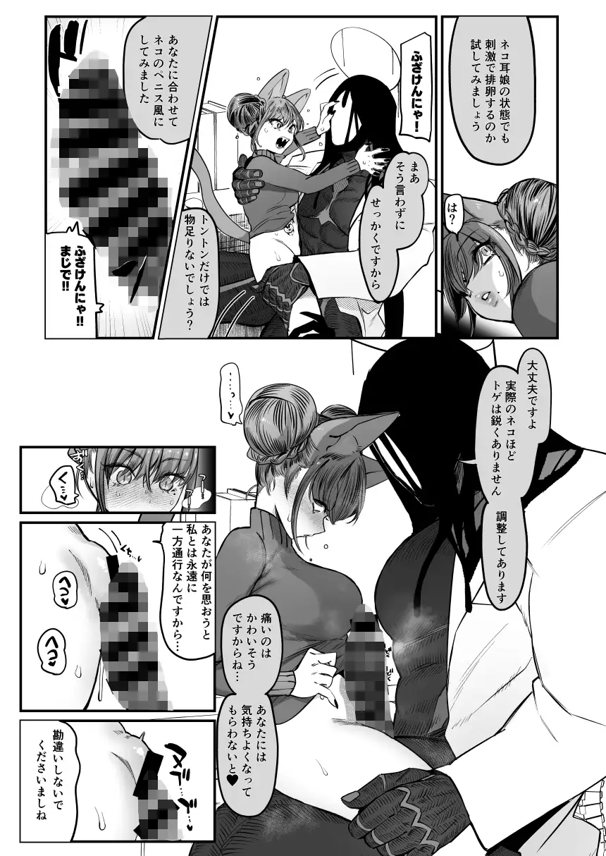 メスネコ!ランホアちゃん