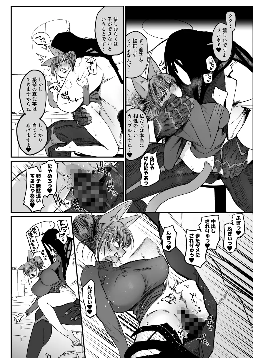 メスネコ!ランホアちゃん