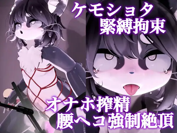 【緊縛拘束】ケモショタ搾精工口アニメ5本セット【Chaloくん】