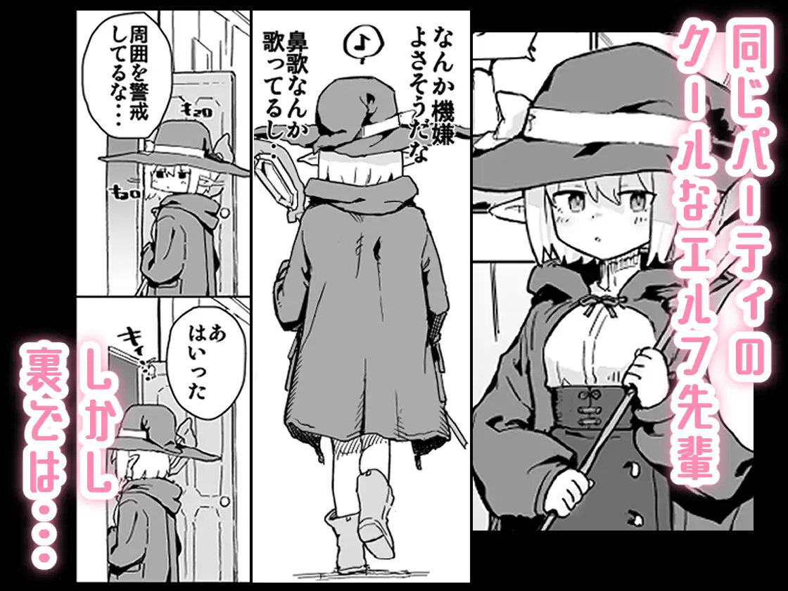 同じパーティーのクール系エルフが裏では大人の玩具で遊ぶ変態だったのでセックスすることにした