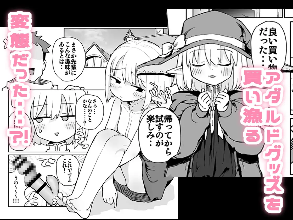 同じパーティーのクール系エルフが裏では大人の玩具で遊ぶ変態だったのでセックスすることにした