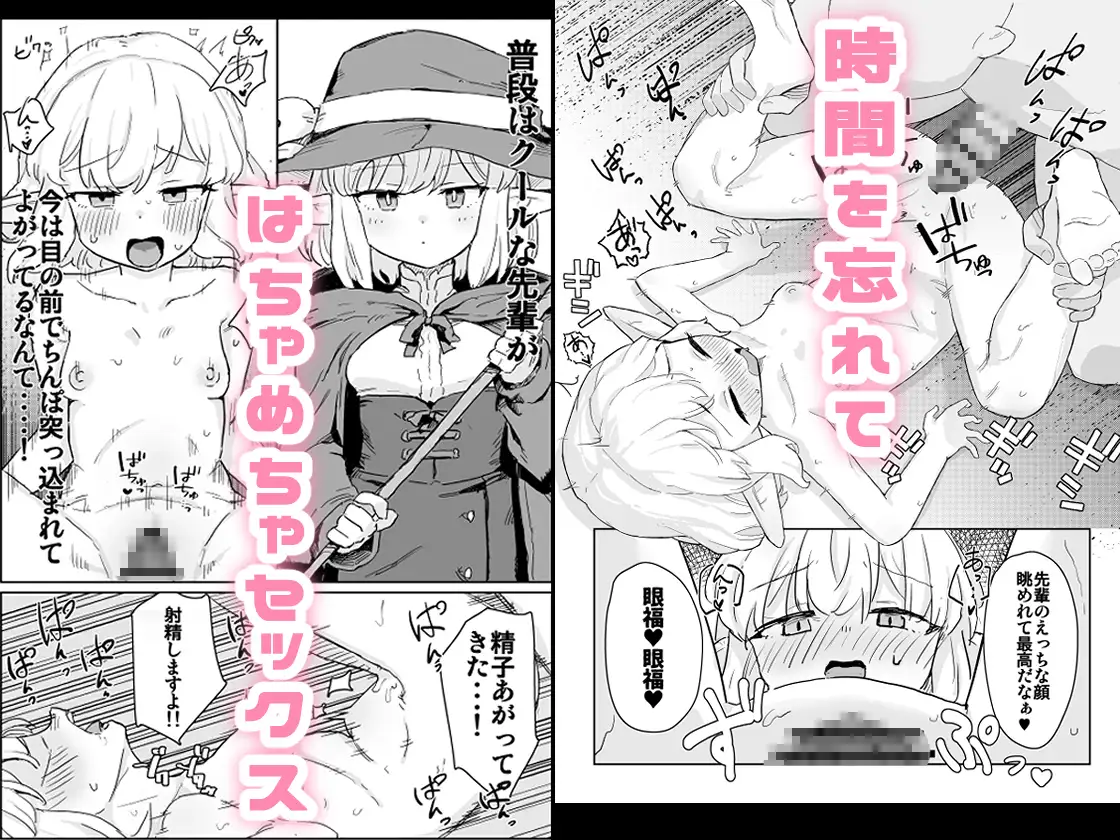 同じパーティーのクール系エルフが裏では大人の玩具で遊ぶ変態だったのでセックスすることにした