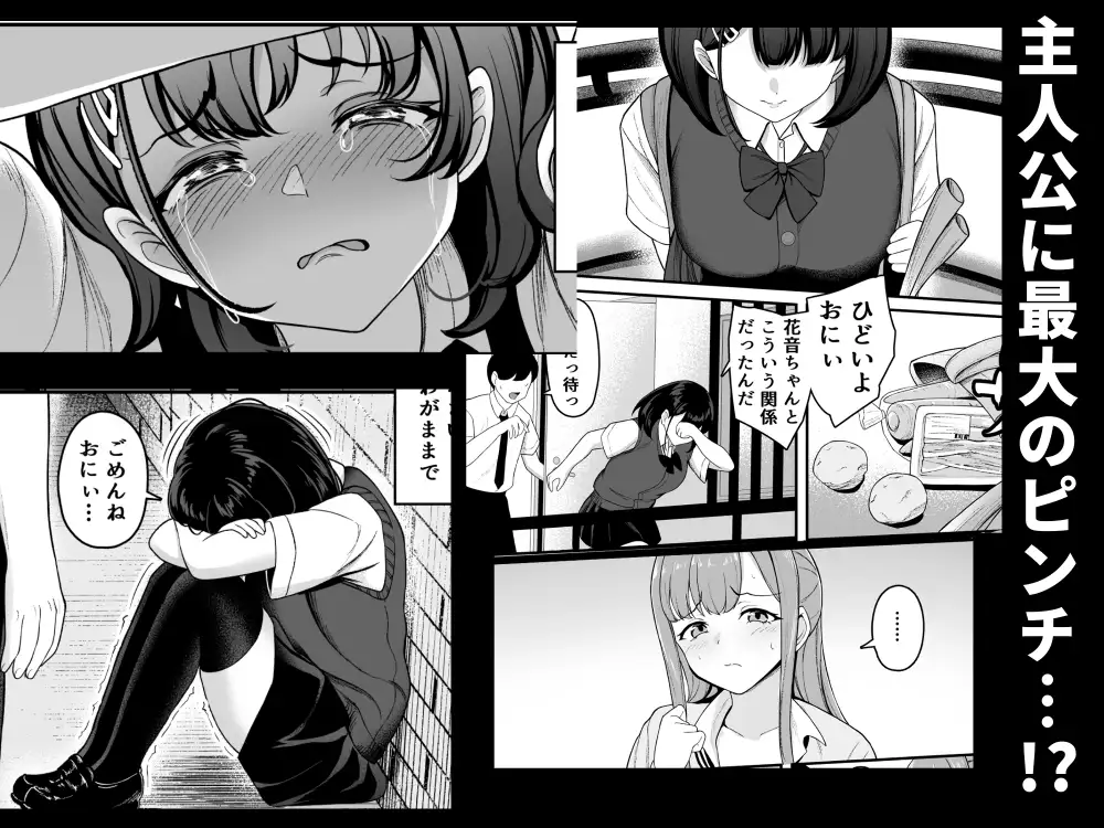 お家ハーレム!? Sっ気の義妹とMっ気の幼馴染!