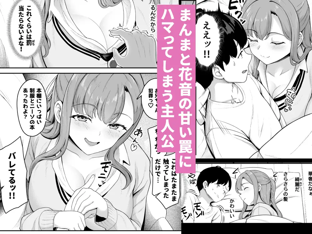 お家ハーレム!? Sっ気の義妹とMっ気の幼馴染!