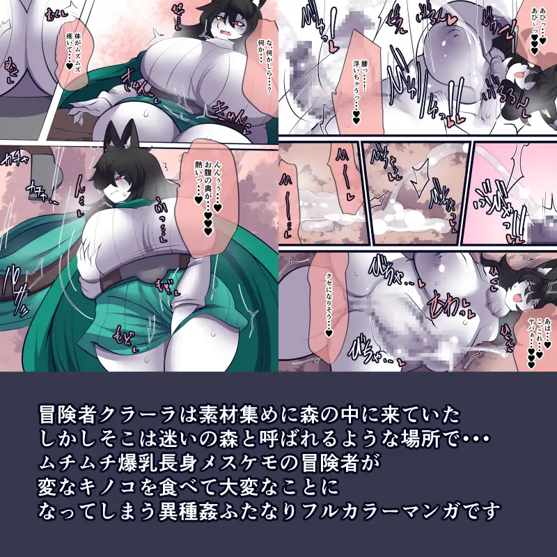 迷いの森に魅入られて