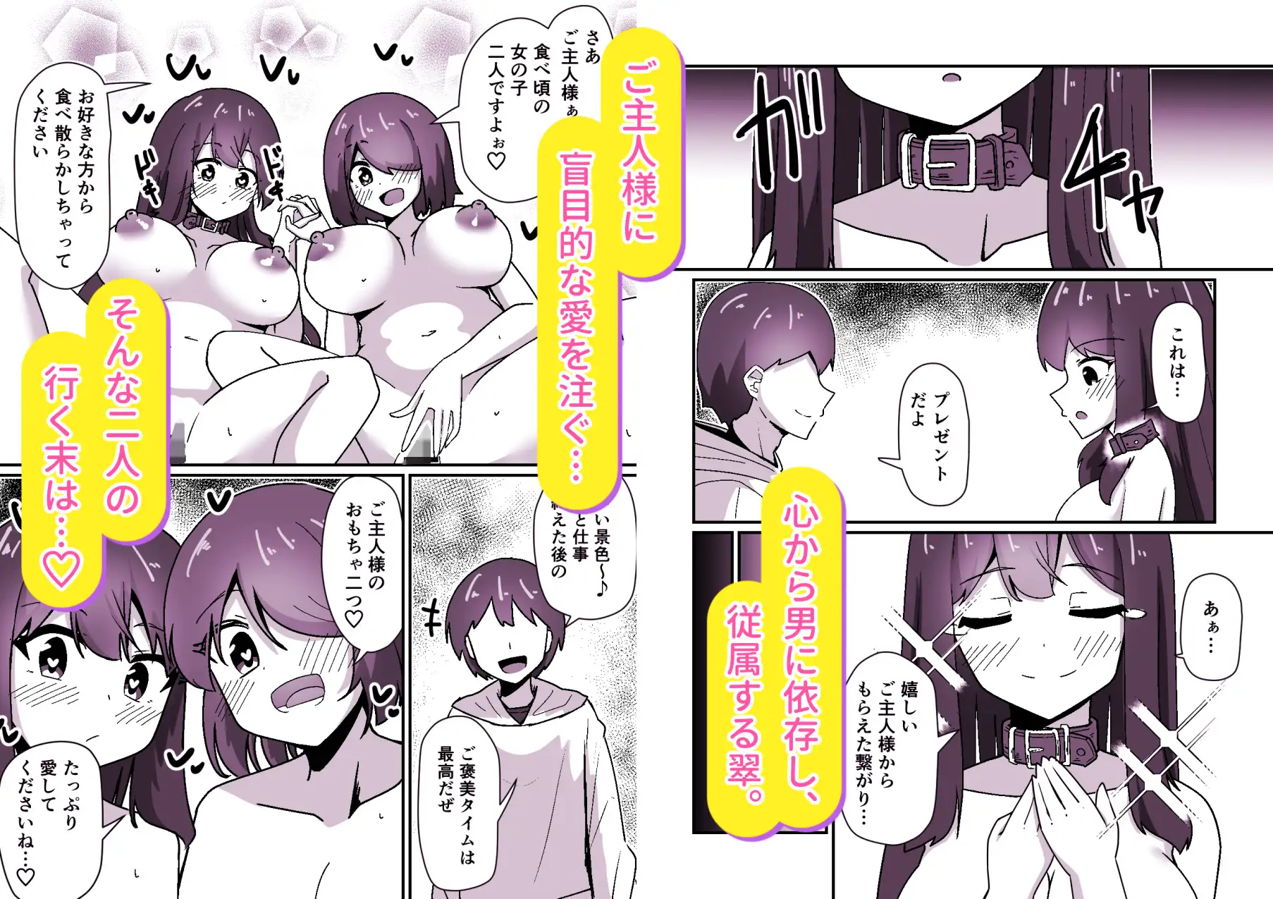 正義の探偵姉妹は催○奴○になりました。