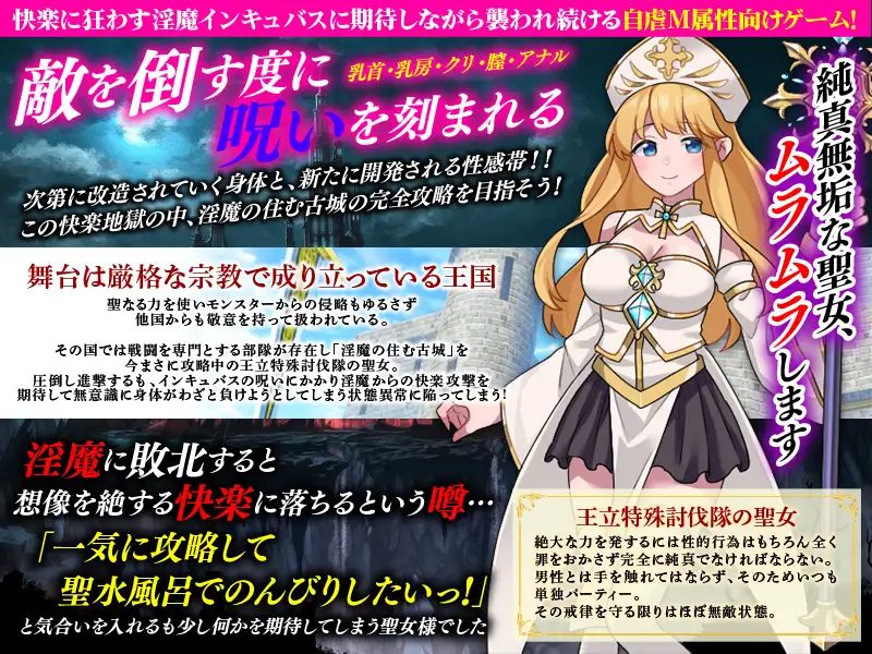 性感帯育成SLG インキュバスの呪い