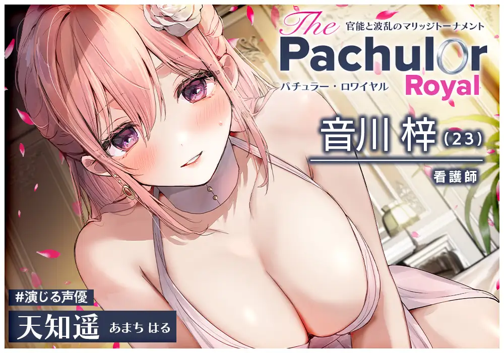 【24時間】バチュラー・ロワイヤル！ コンプリートパック