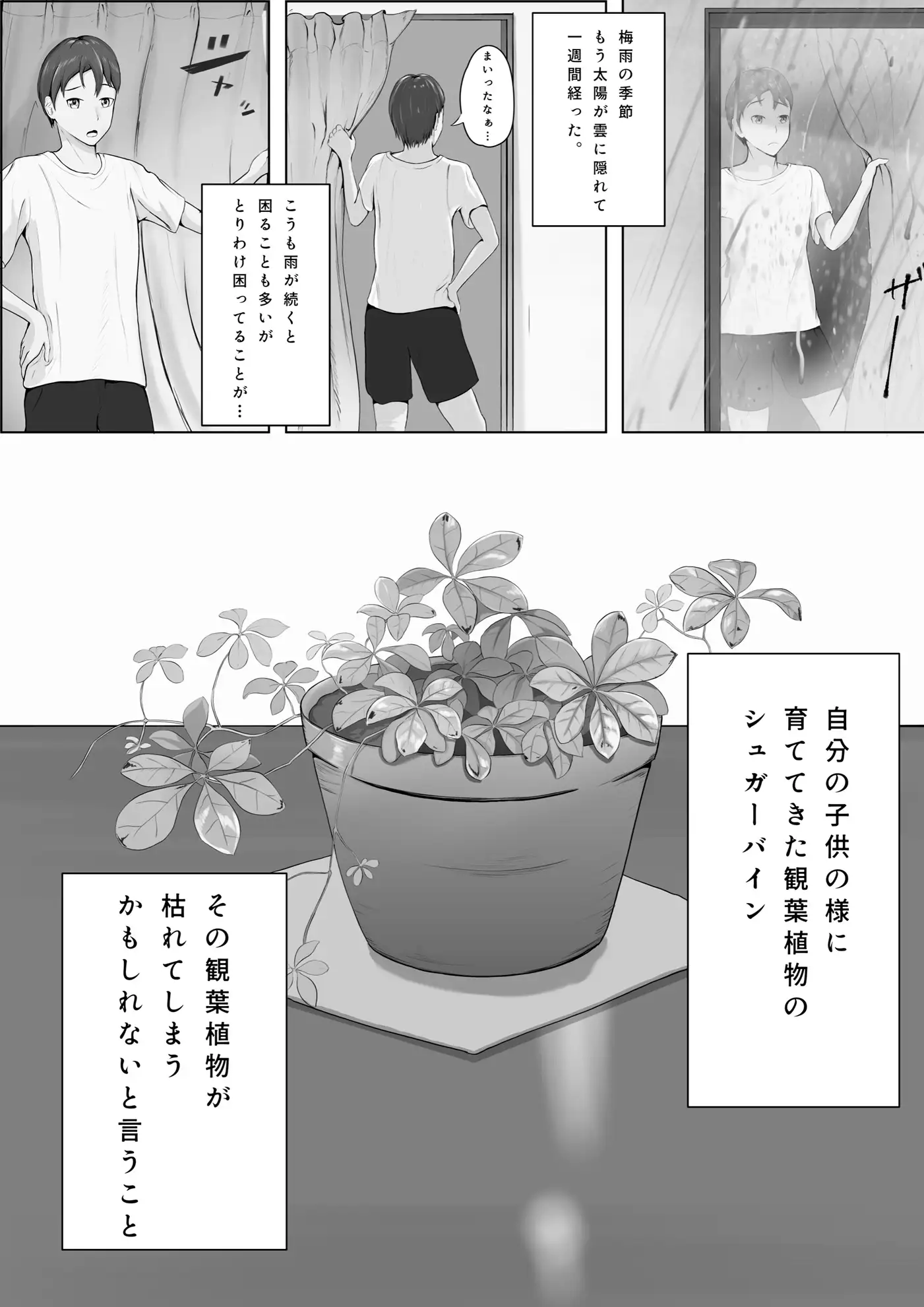 水やりおねがいします！！