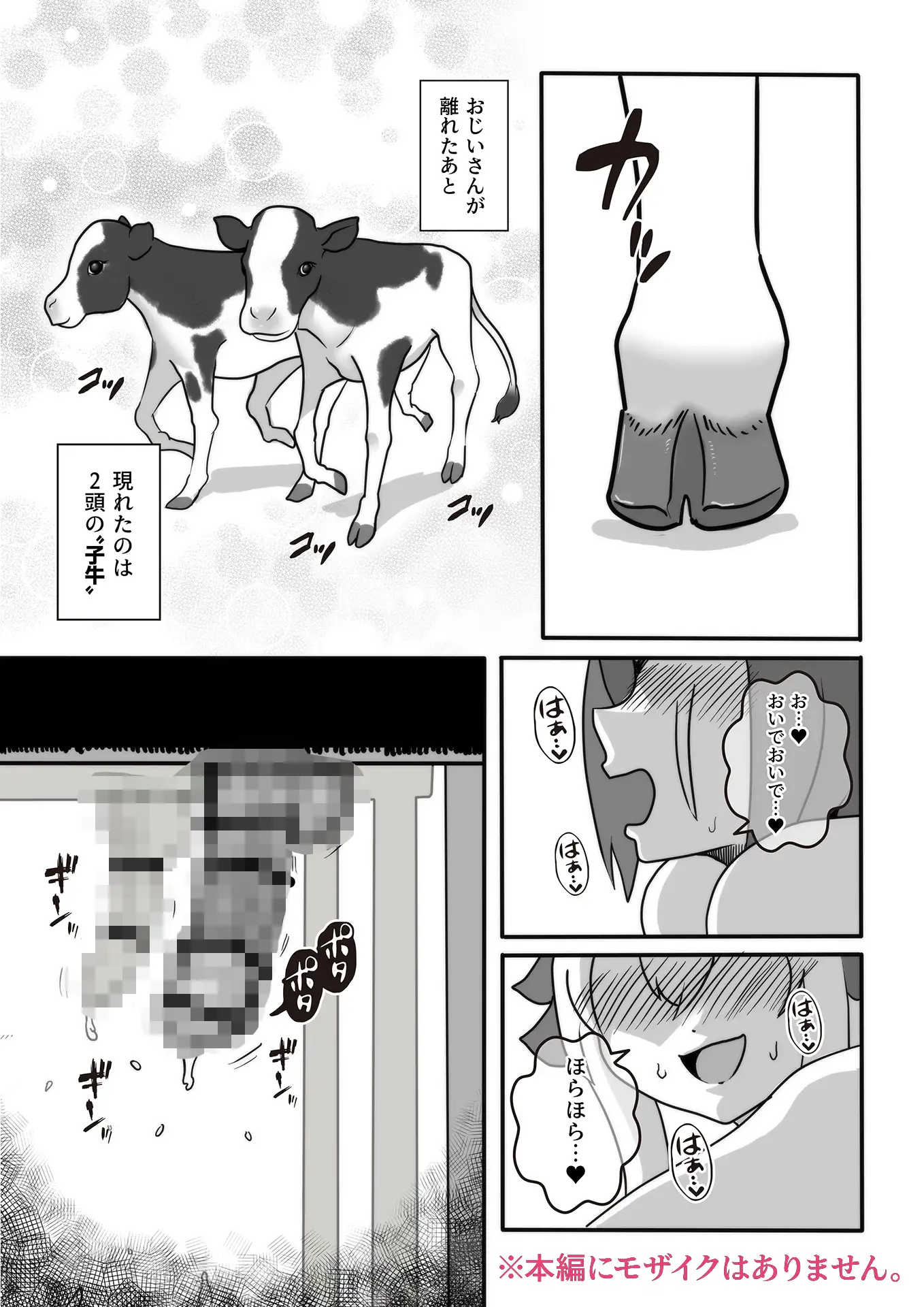 ふたなり秘密牧場 人里離れた山奥で牝馬にマジ種付け