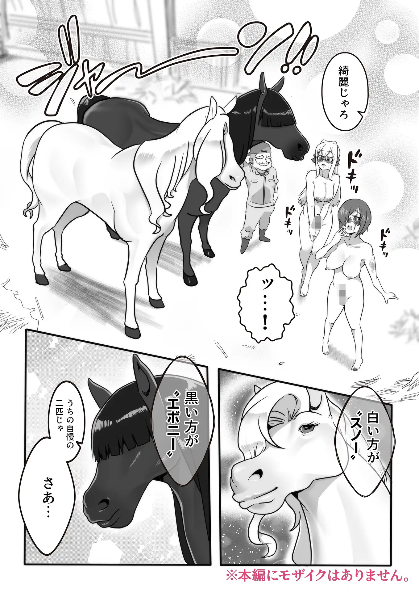 ふたなり秘密牧場 人里離れた山奥で牝馬にマジ種付け