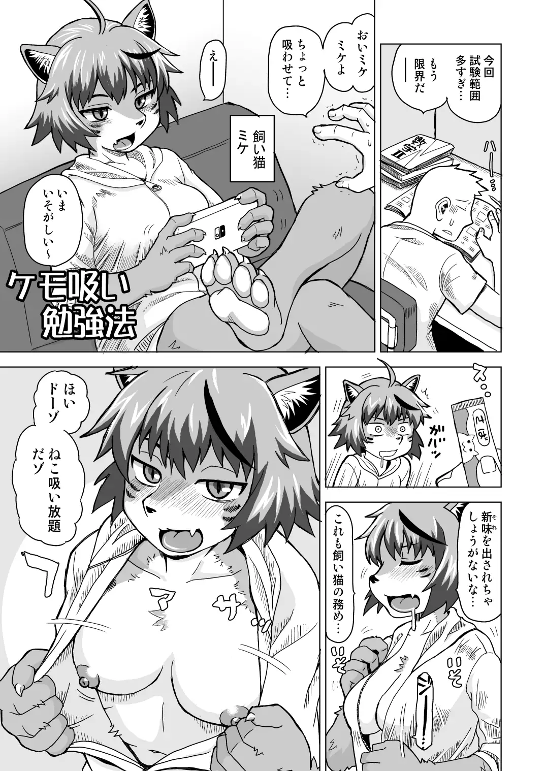 ネコモリアワセ