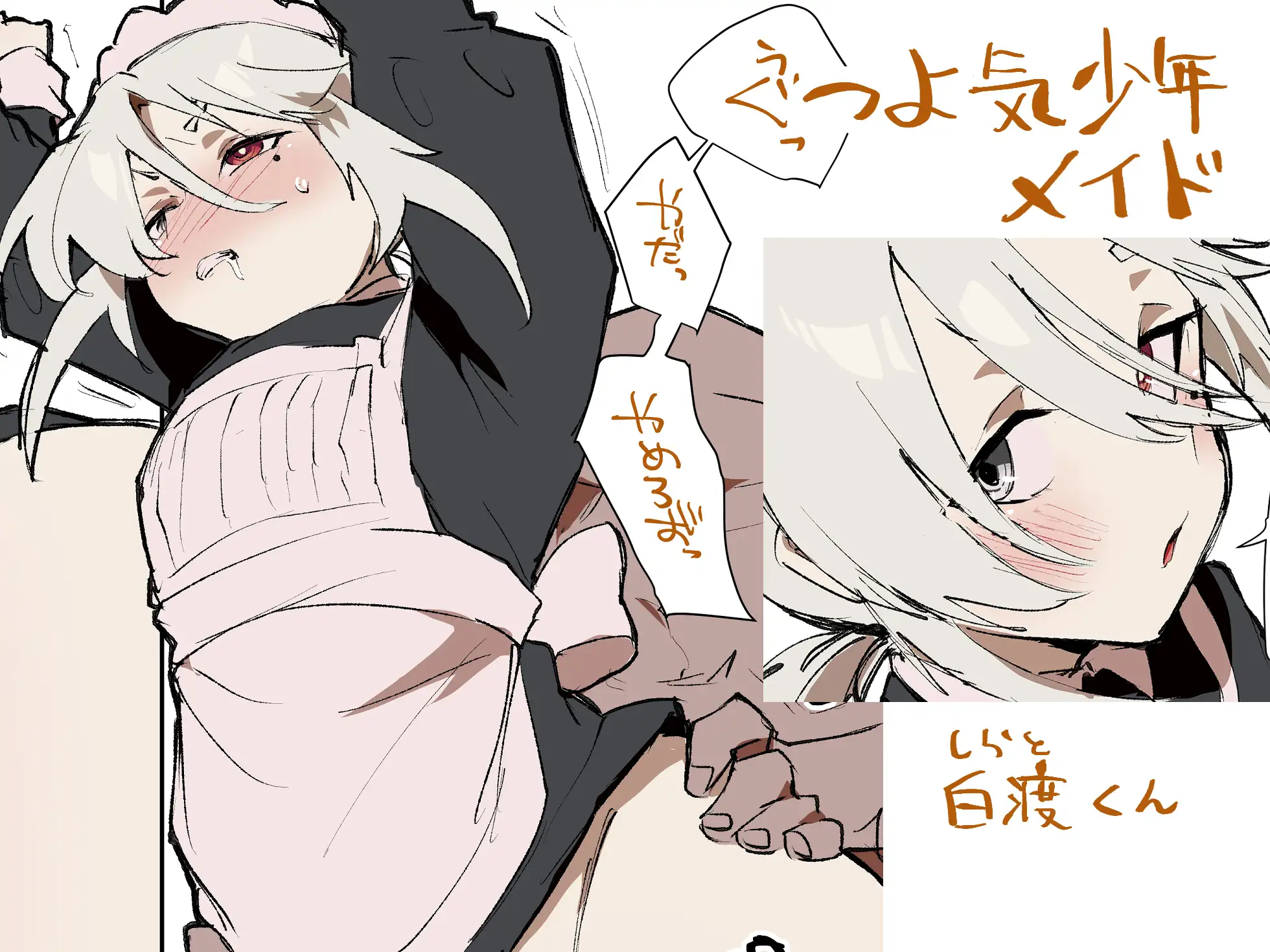 男の娘メイドとエッチする本。