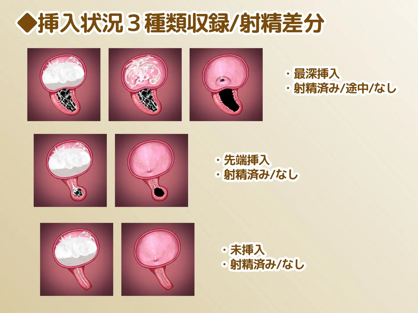 断面図イラスト素材 Vol.1