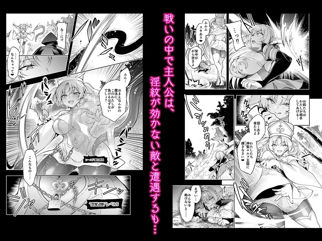 エルフに淫紋を付ける本 LEVEL:9