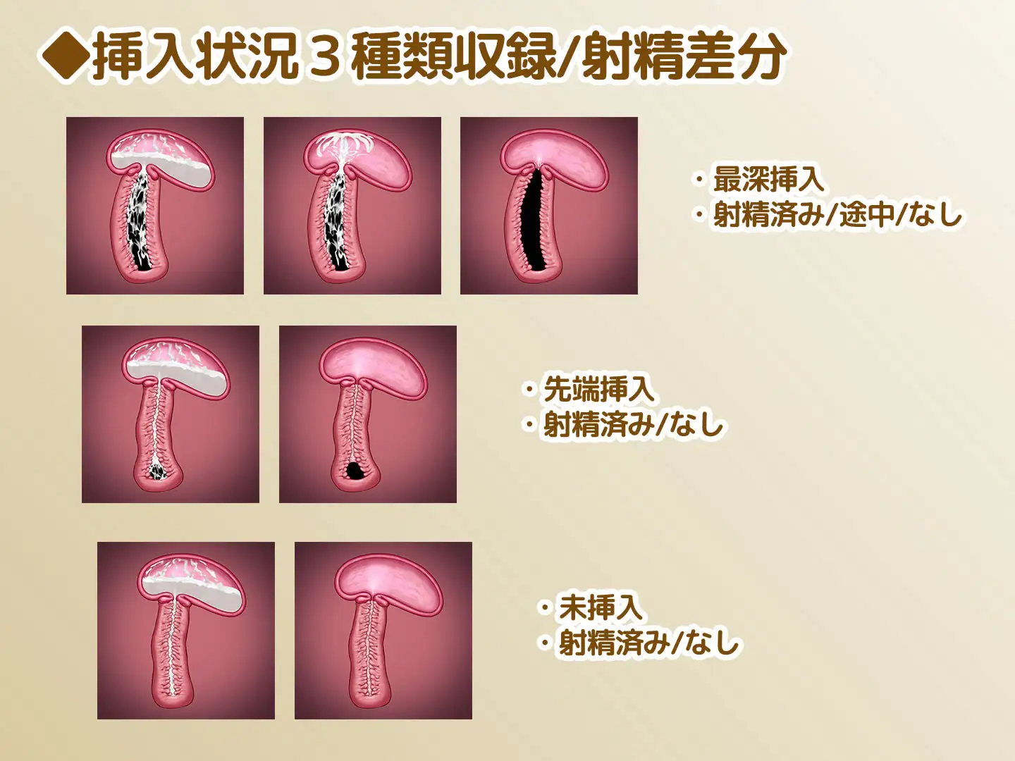 断面図イラスト素材 Vol.2