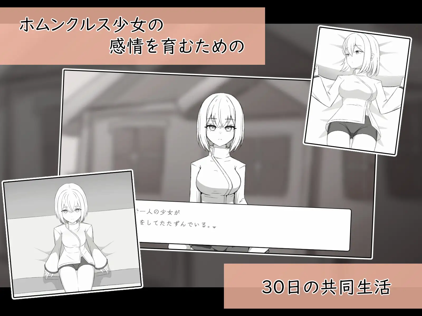 人造少女の診察カルテ