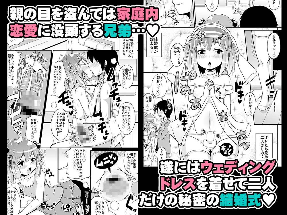 弟メス♂化これくしょん