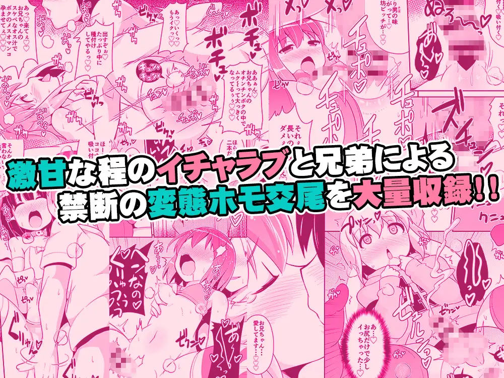 弟メス♂化これくしょん