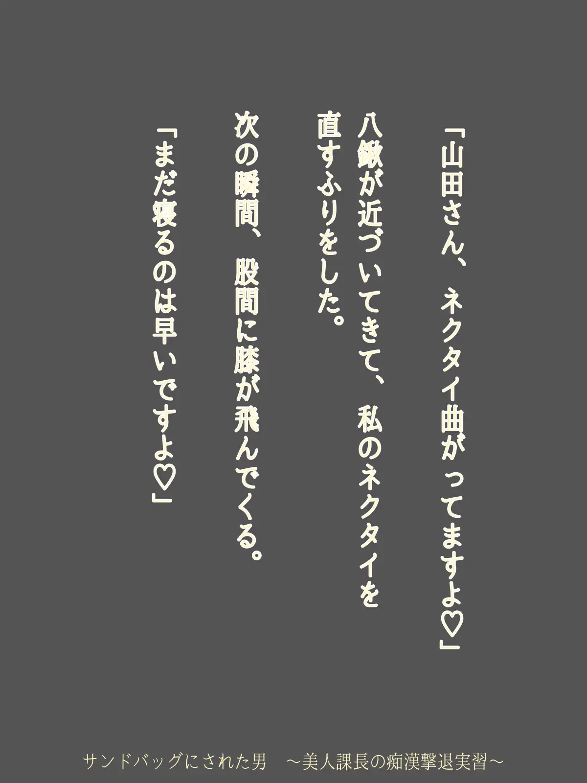 サンドバッグにされた男 ～美人課長の痴○撃退実習～