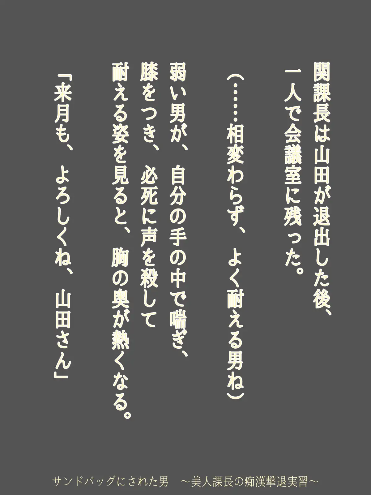 サンドバッグにされた男 ～美人課長の痴○撃退実習～