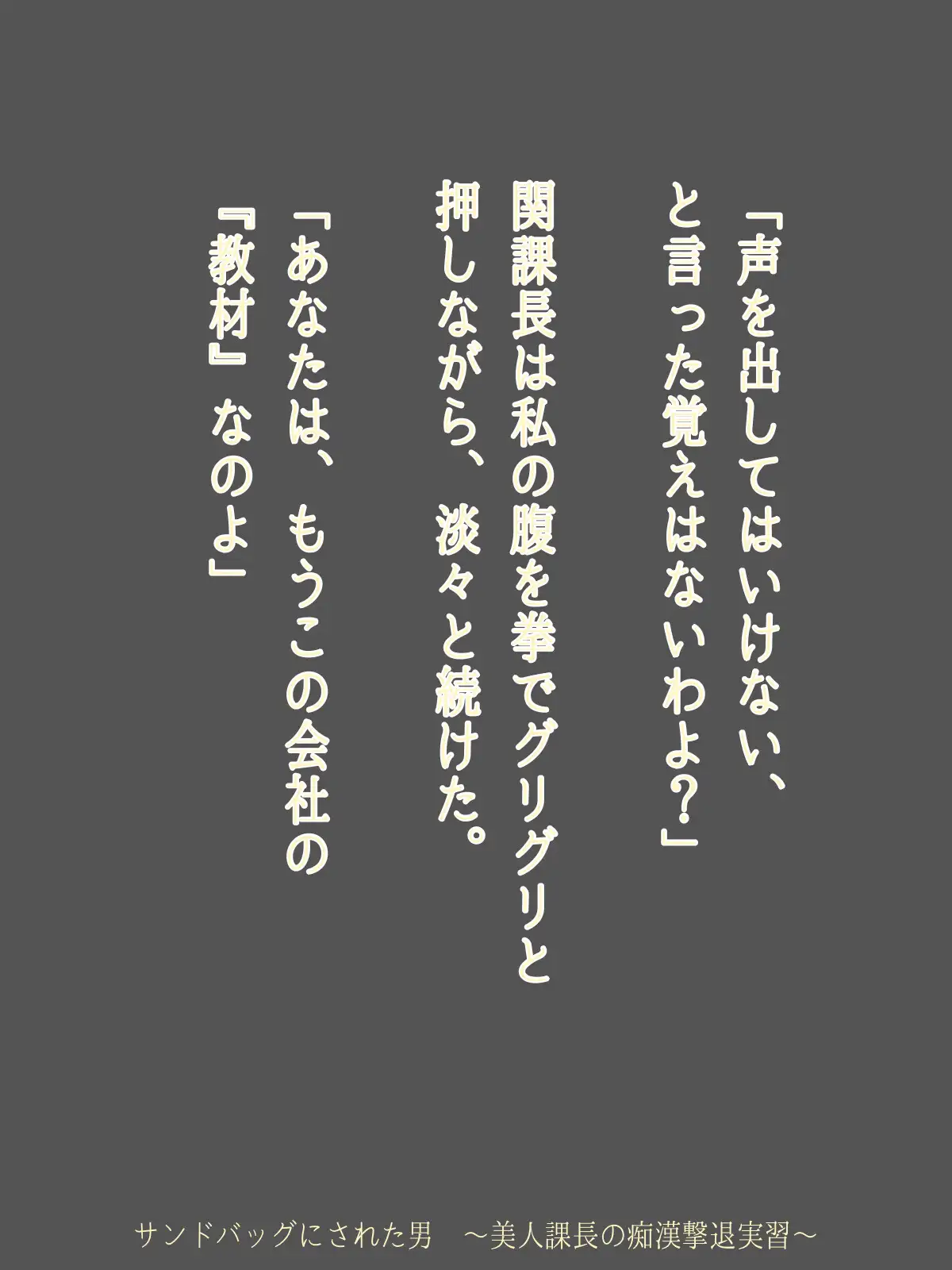 サンドバッグにされた男 ～美人課長の痴○撃退実習～