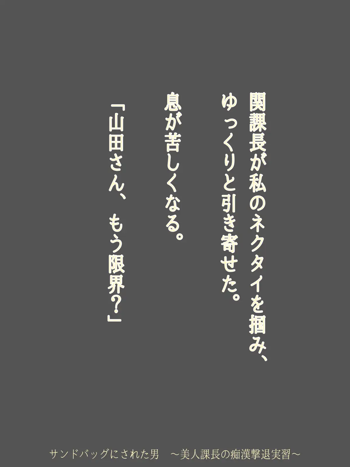 サンドバッグにされた男 ～美人課長の痴○撃退実習～