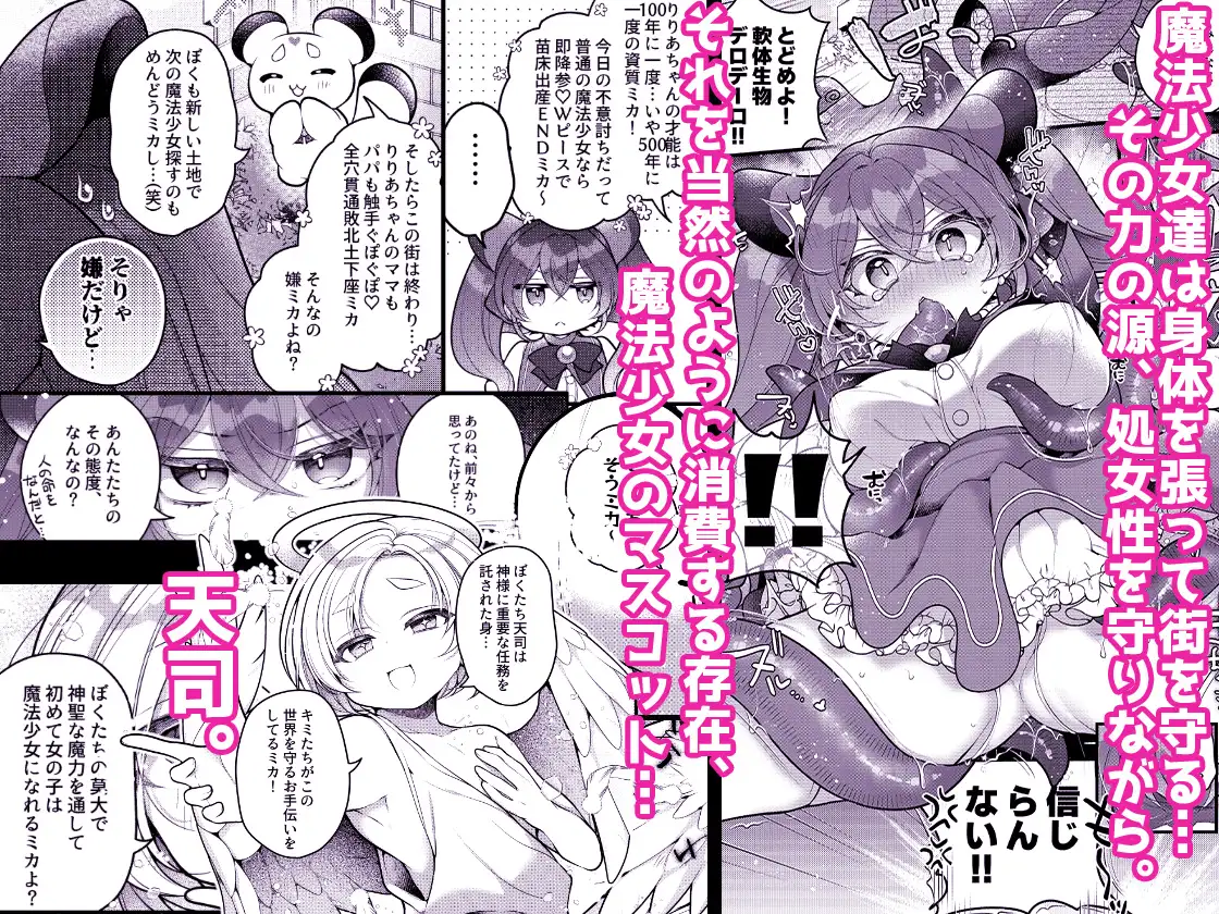 だったらあんたが魔法少女になりなさいよ！！