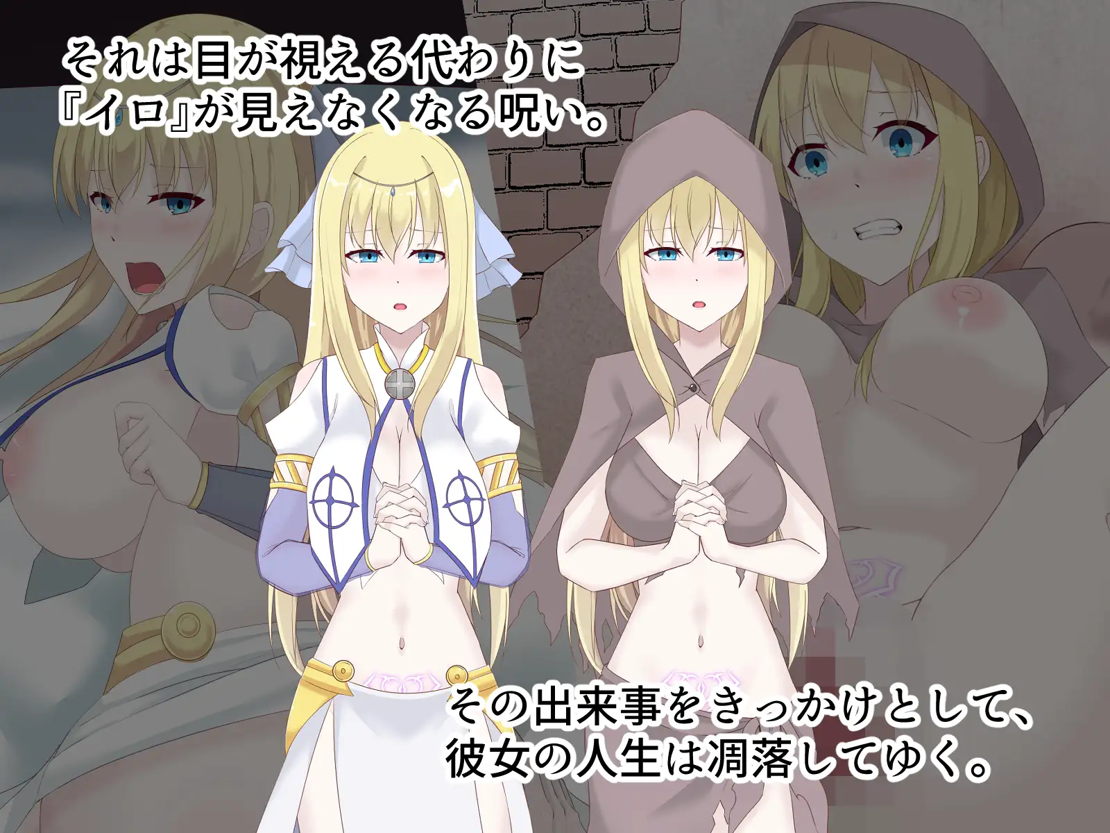 醜くも美しきこの世界を -盲目の聖女、淫魔に堕ちる-