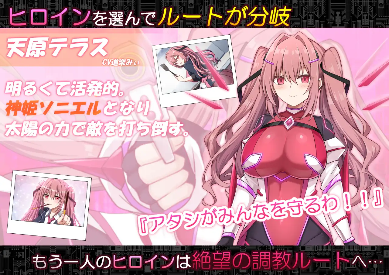 コード:アポカリプス -堕落の神姫と奈落の王-