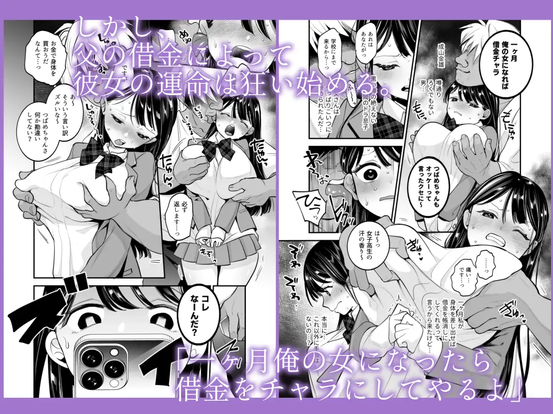 つばめちゃん墜落日記