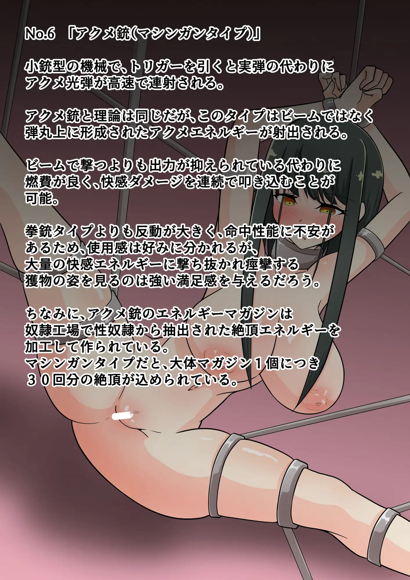 淫具図鑑