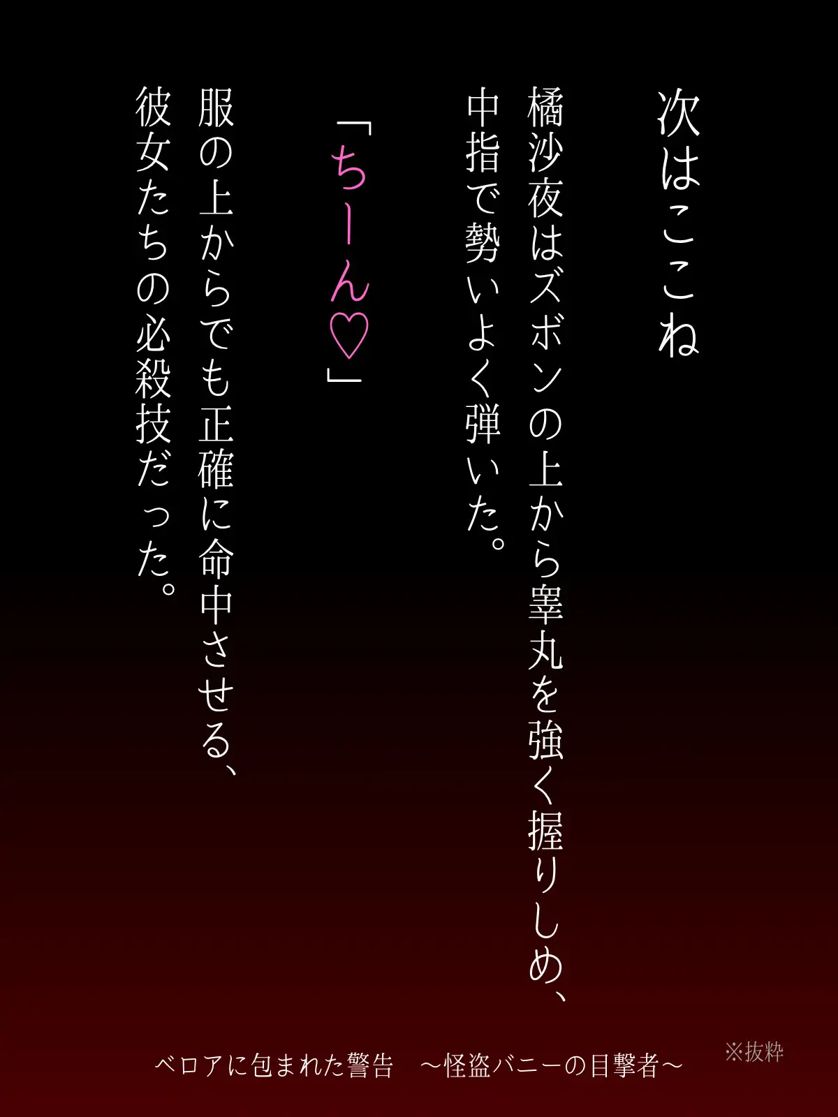 ベロアに包まれた警告 ~怪盗バニーの目撃者~