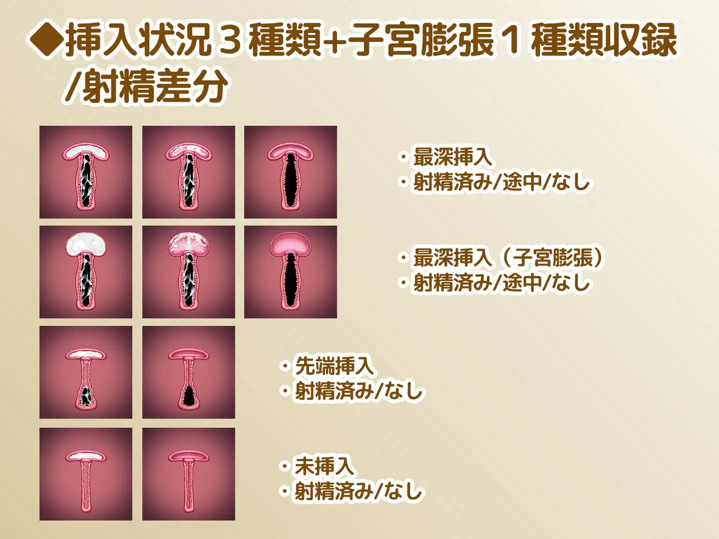 断面図イラスト素材 Vol.3
