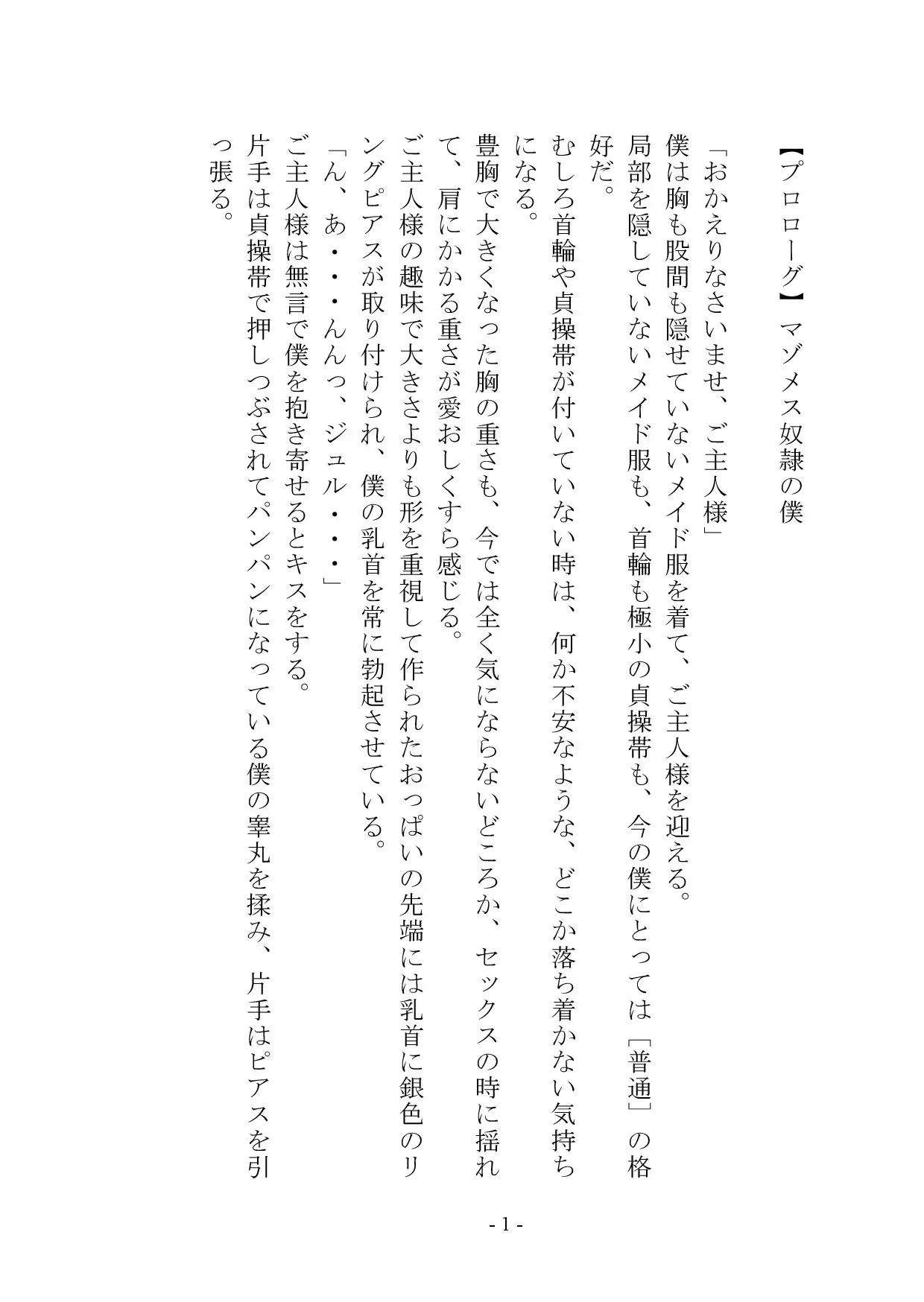 【小説+おまけイラスト7枚】僕はマゾメス奴○I
