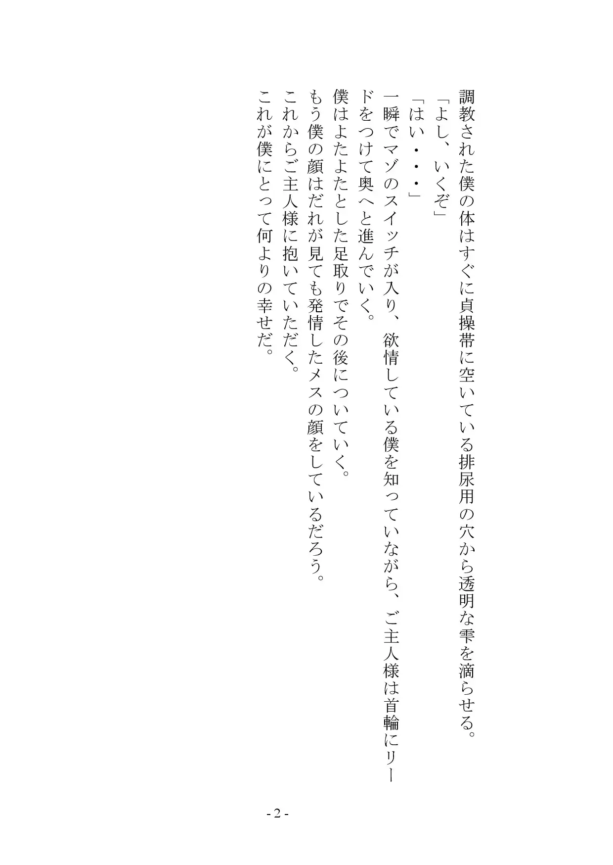 【小説+おまけイラスト7枚】僕はマゾメス奴○I