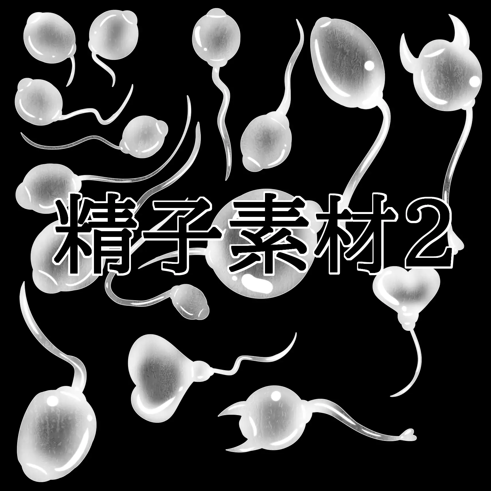 精子素材2