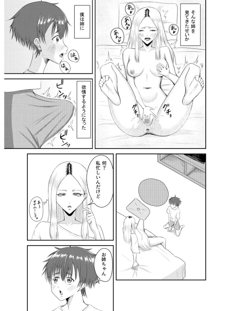 オナニー中毒の姉とエッチした