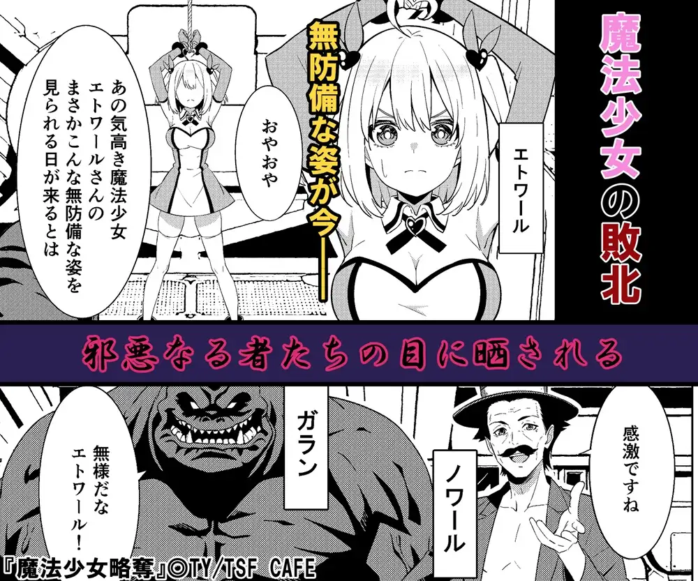 魔法少女略奪