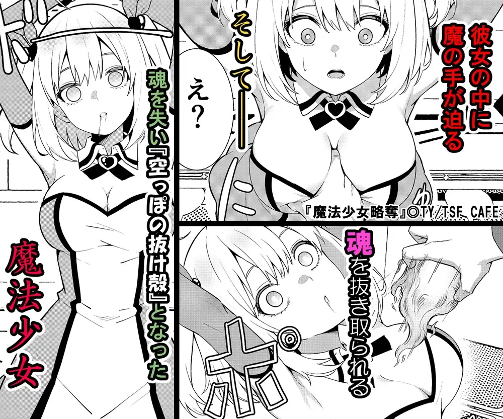 魔法少女略奪