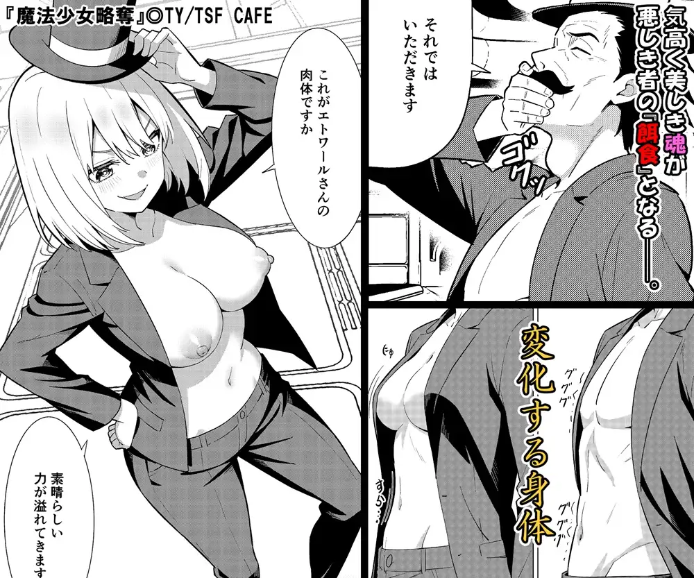 魔法少女略奪
