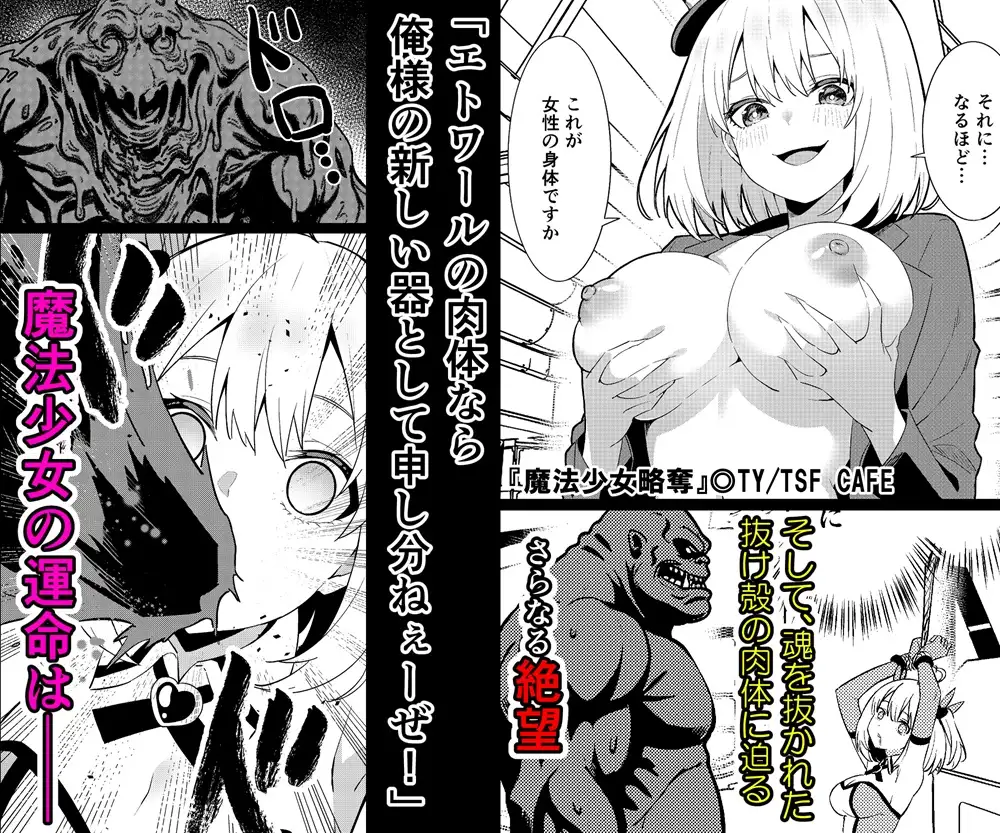魔法少女略奪