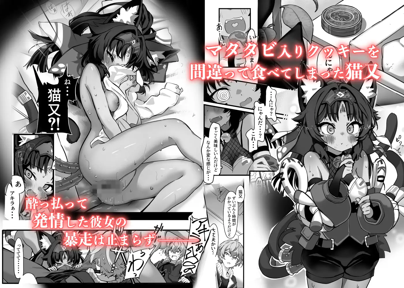猫はマタタビの夢をみる