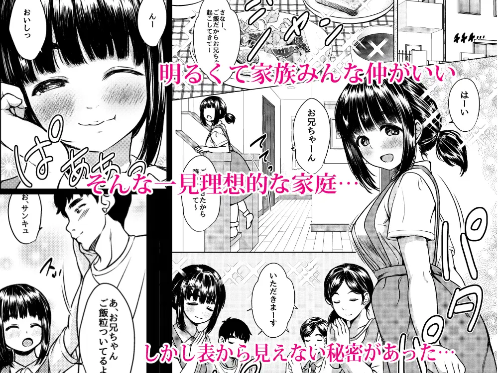 兄妹が終わる時 ～可愛く成長した妹に壊れた兄が手を出すまで～
