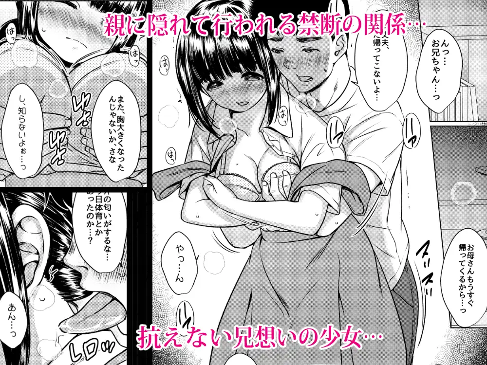 兄妹が終わる時 ～可愛く成長した妹に壊れた兄が手を出すまで～
