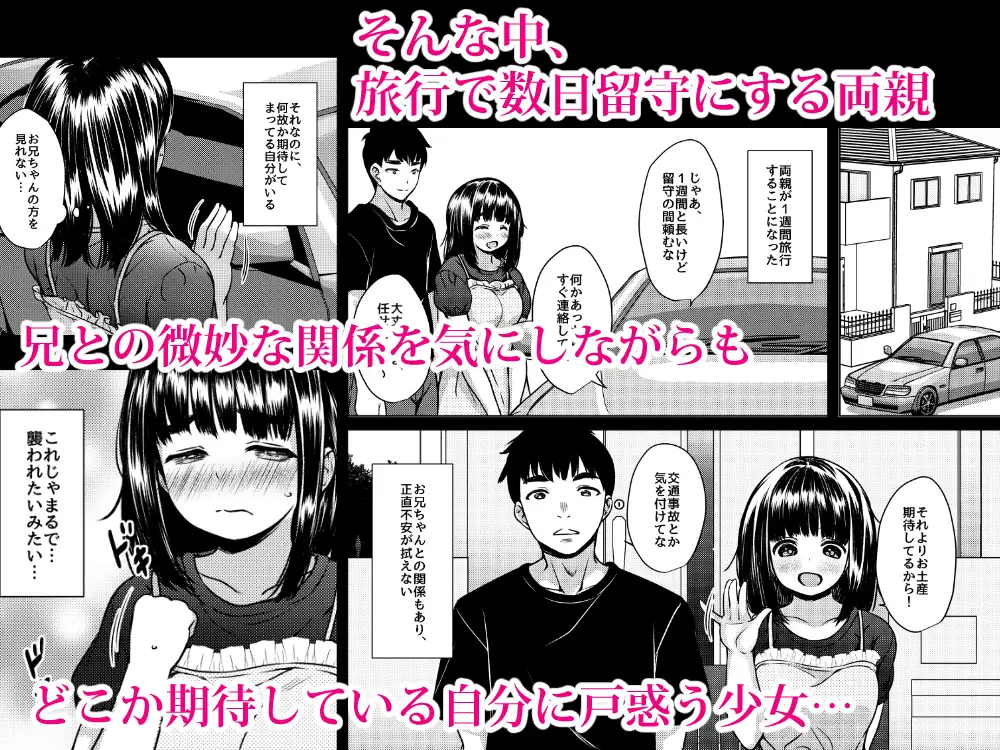 兄妹が終わる時 ～可愛く成長した妹に壊れた兄が手を出すまで～